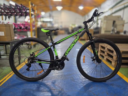 Bicicleta GRIBOM ASPEN M.T.B R29 21V - 2953SV