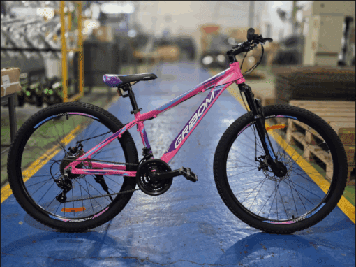 Bicicleta Mountain Sherwood GRIBOM COD 2912XSD