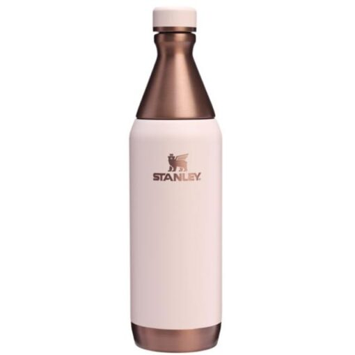 Botella Stanley All Day Slim 591ml  Gilded-Sugar (12069-195)