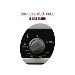 Horno Longvie Gas Inoxidable (H6900XT) - Imagen 5